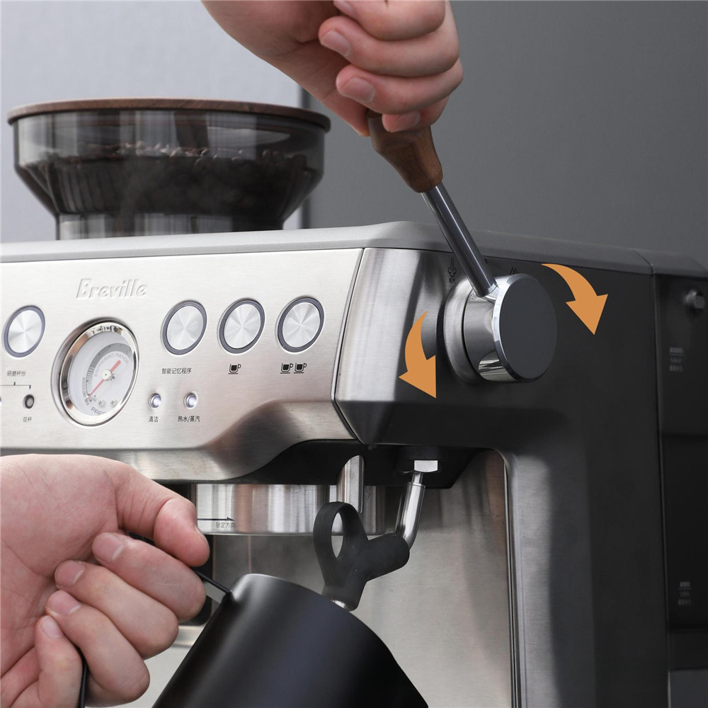 Breville Sage Bes870 875 876 i - Bean Hopper Lid reseña y precio